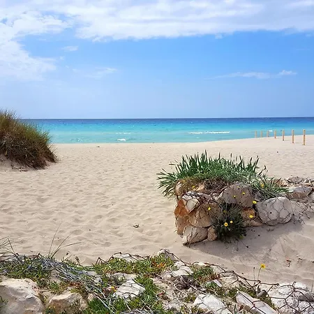 Holiday home Casa Vacanze Robinia Gallipoli