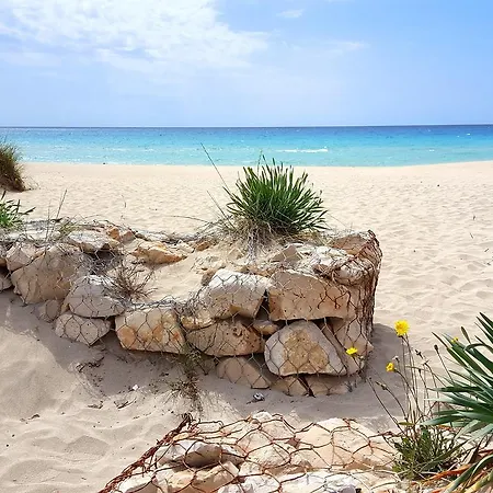 Casa Vacanze Robinia *