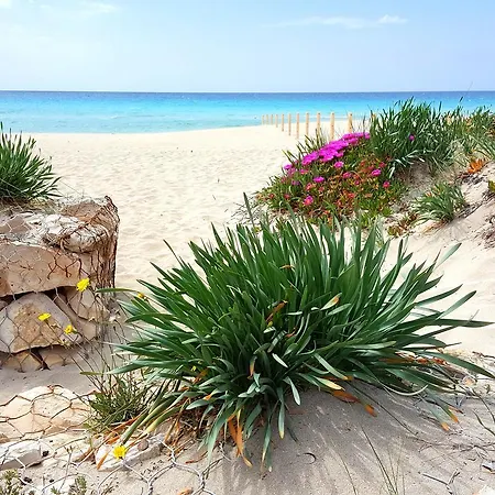 Casa Vacanze Robinia Holiday home *